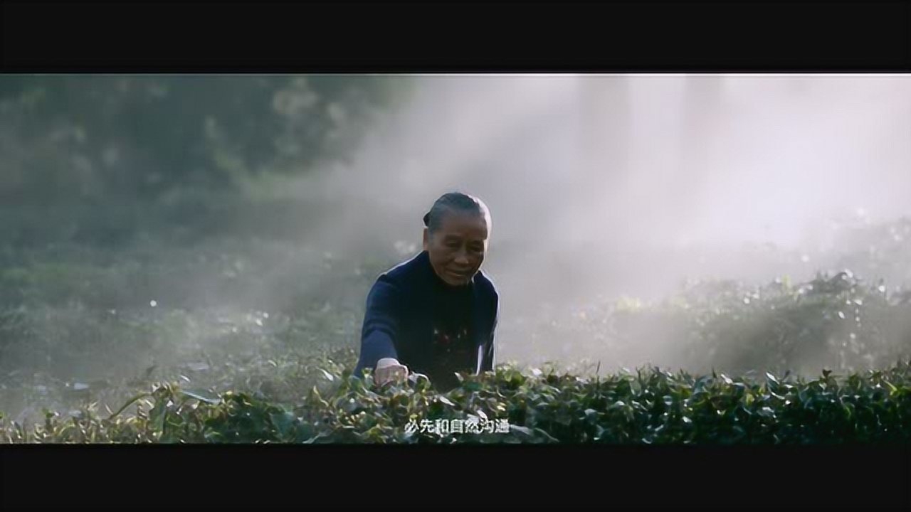 Thumbplayer Poster Plugin Image